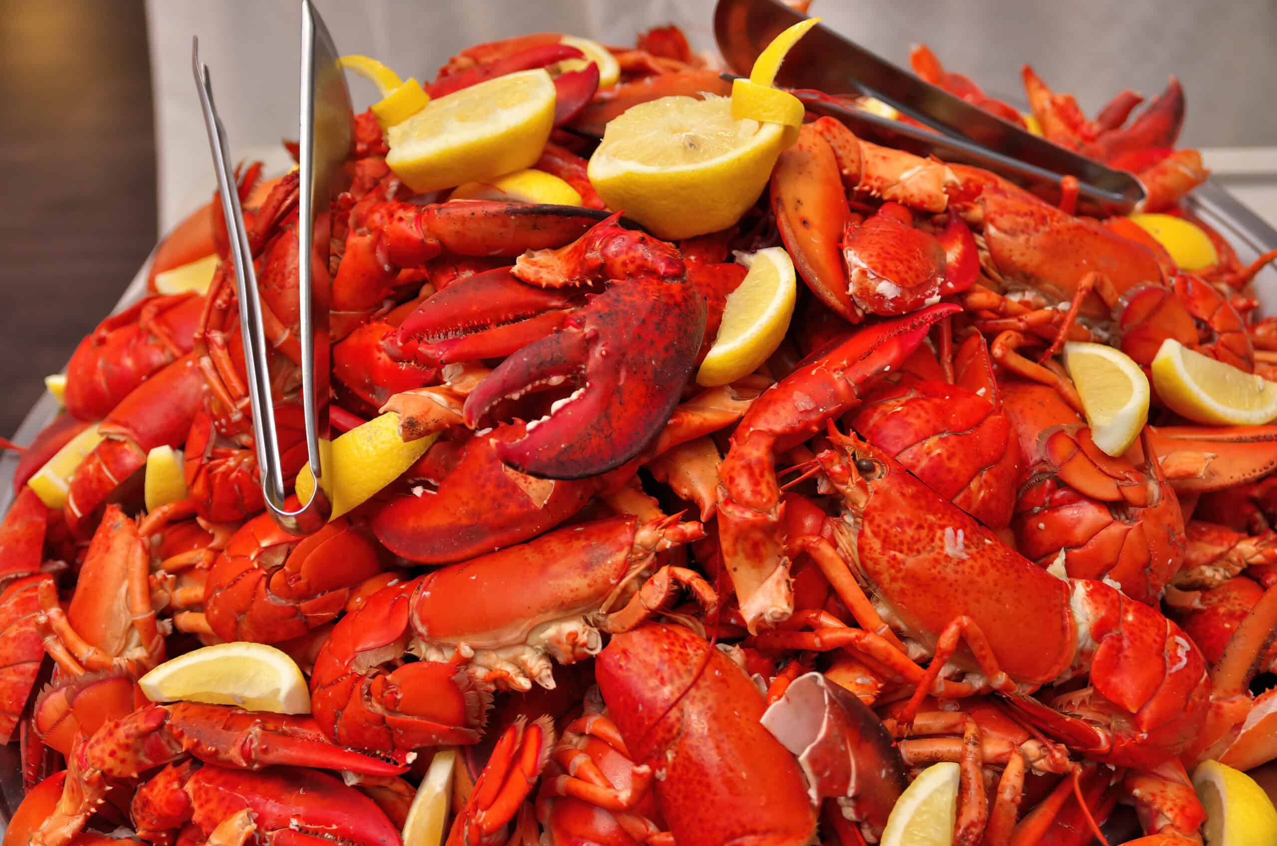 Best Seafood Restaurants in Chicago: Top Spots for Fresh Catches